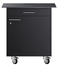 Rex-Royal Mobilwagen T für Catering und Bankette